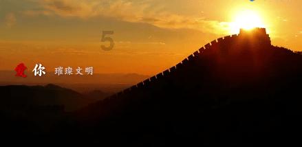 雨后盛放